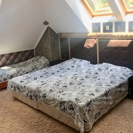за гости старс